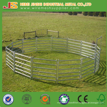 1.6*2.1m Heavy Duty Livestock Panel, Corral Panel, Cattle Fence Panel